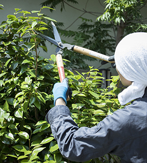 岩手県北上市の剪定・伐採 植木屋いちだい/庭木・植木の剪定