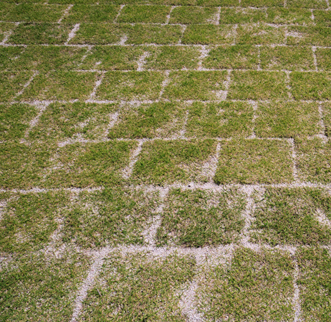 岩手県北上市の剪定・伐採 植木屋いちだい/芝張り